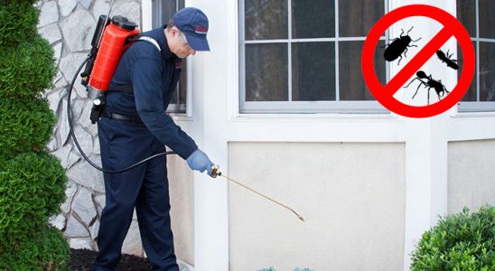 Yavuzeli Fare İlaçlama böcek ilaçlama ve haşere kontrolü — ilaclama-tr.com